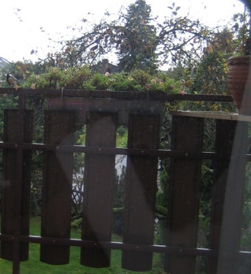 20101108_0001.JPG