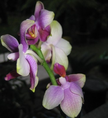 20101109_0001_20.JPG