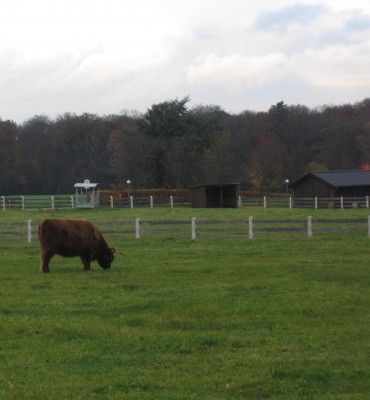 20101109_0001_16.JPG