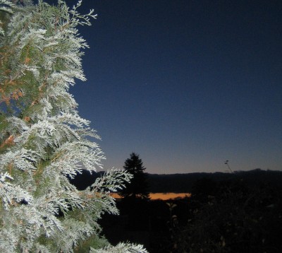 20101108_0001_8.JPG