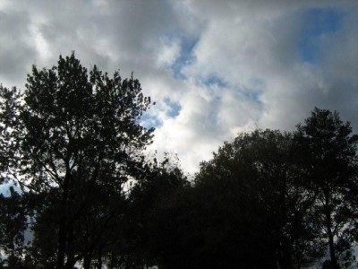 IMG_1008.jpg