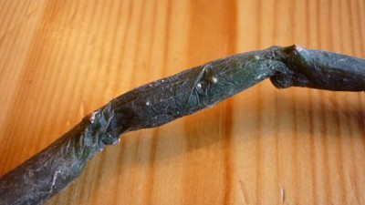 Oktober 2010 027.jpg