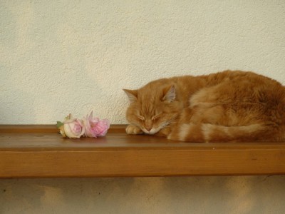 Gina und Edenrose.jpg