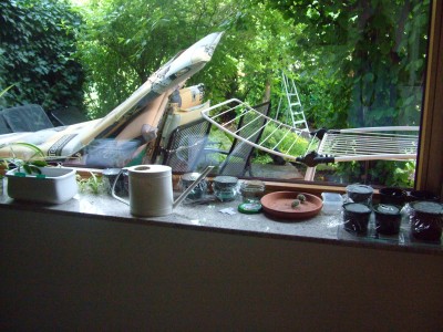 DSCF2285.JPG