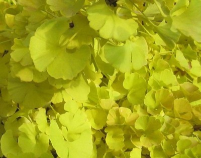 20101028_0001_7.JPG