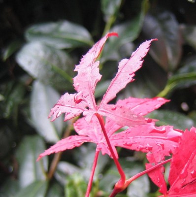 20101109_0001_9.JPG