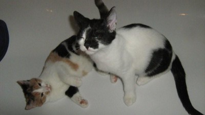 IMG_1390.jpg
