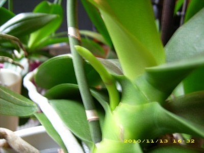 DSCI0031.JPG