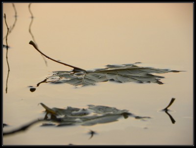 2010-10-31 319com.jpg