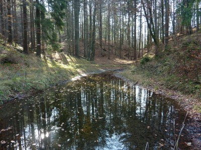 Rosslache am Aschenbrenner.jpg