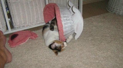 IMG_1359.jpg