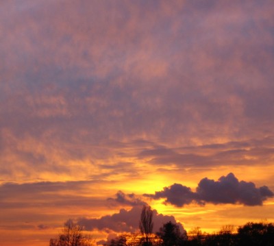 20101115_0001_10.JPG