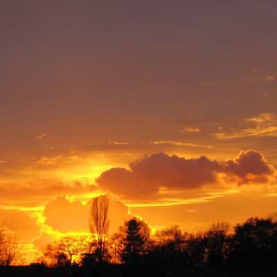 20101115_0001_5.JPG