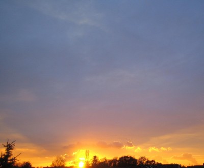20101115_0001.JPG