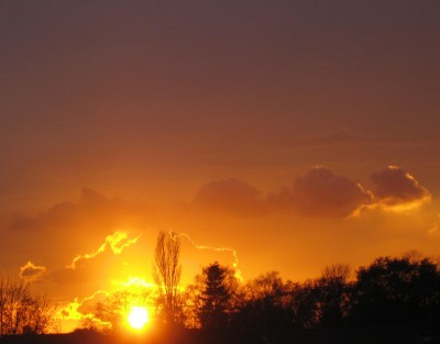 20101115_0001_3.JPG