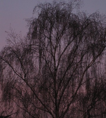 20101115_0001_11.JPG