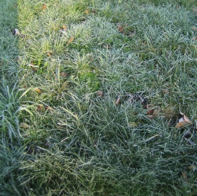 20101116_0001_5.JPG