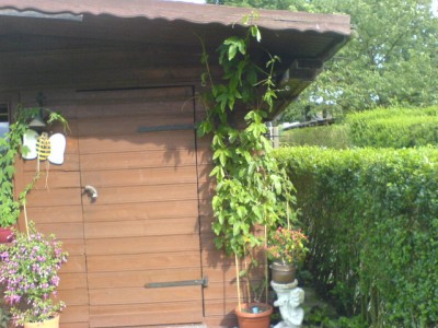 25.6.07 und Lotte 027.jpg