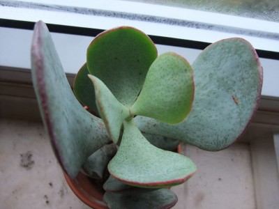DSCF4777.JPG