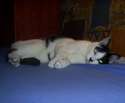 PIC_0017.JPG