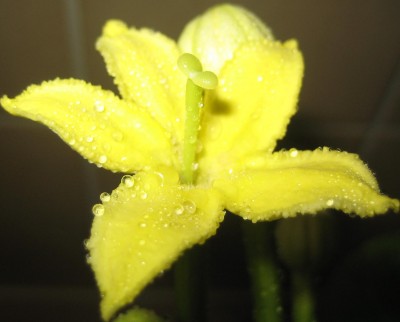 20101117_0001_4.JPG