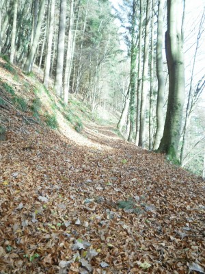 Bild 492.jpg