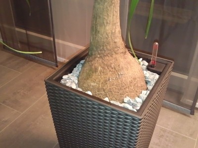 Foto0091.jpg