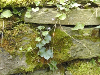 BILD0083.JPG