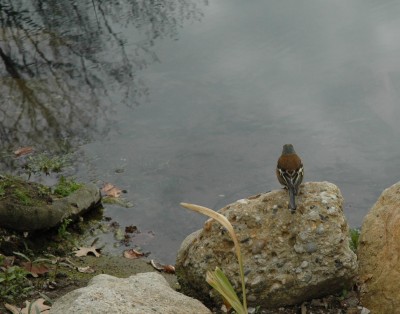DSC_167100887.JPG