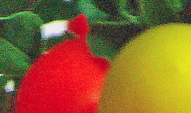 Auschnitt Novemberrätsel 19.11.2010.jpg