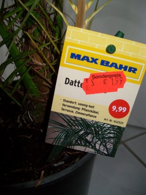 phoenix_angebot.JPG