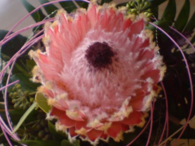 November 2010 028.JPG