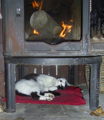 PIC_0016.JPG