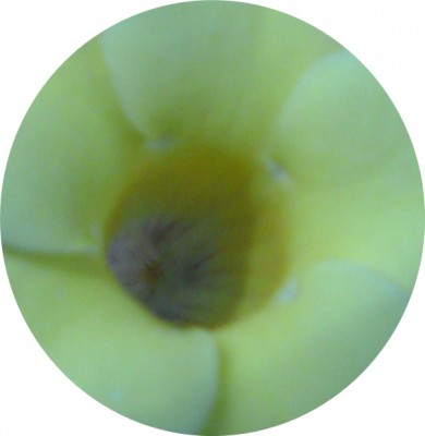 Bild 132-crop-crop.jpg