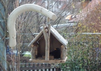 Amselmann als Pascha.JPG