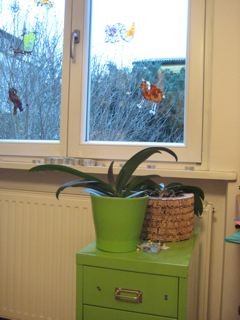 IMG_4545.jpg