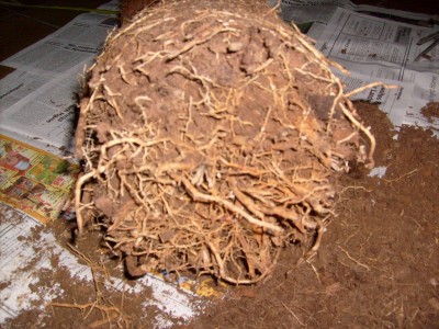 S7300092.JPG