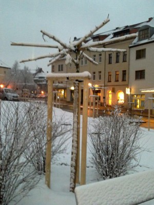 26112010208.jpg