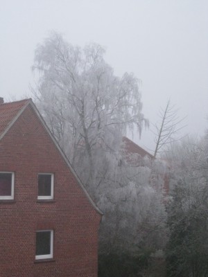 IMG_5277.JPG