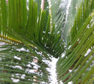 20101126_0001_3.JPG