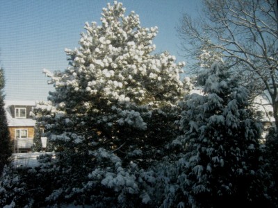 IMG_0005.JPG