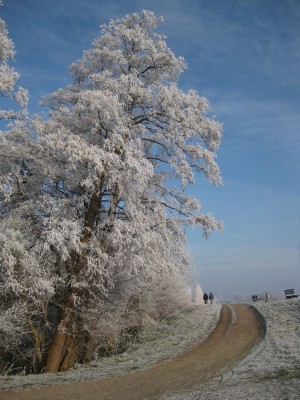IMG_5306.JPG