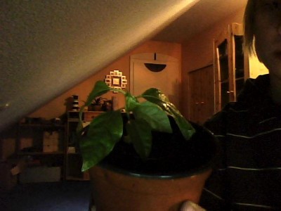 IMG0041.jpg