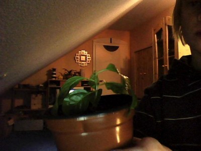 IMG0040.jpg