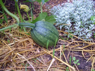 DSCF2292.JPG