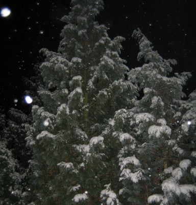 20101129_0001_11.JPG