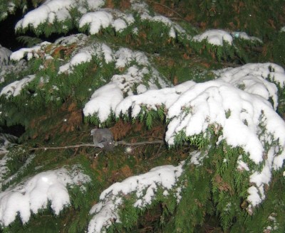 20101129_0001_2.JPG