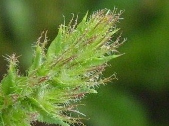 DSCI0013 - Kopie.JPG