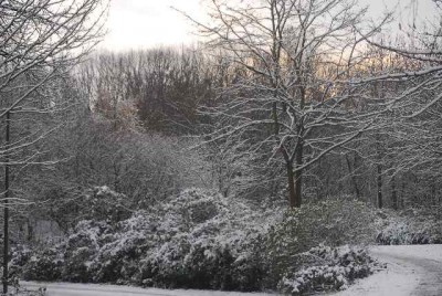 winterwonderland 015yy.jpg