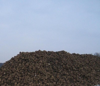20101130_0001_9.JPG